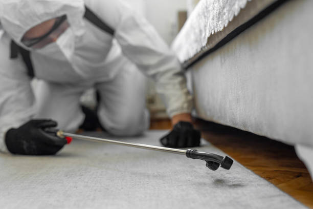Professional Bed Bug Control technician working in Avalon, CA